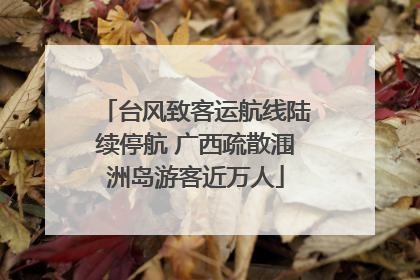 台风致客运航线陆续停航 广西疏散涠洲岛游客近万人